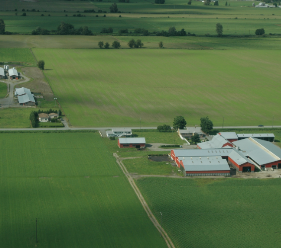 barn in the middle of a cultivated field